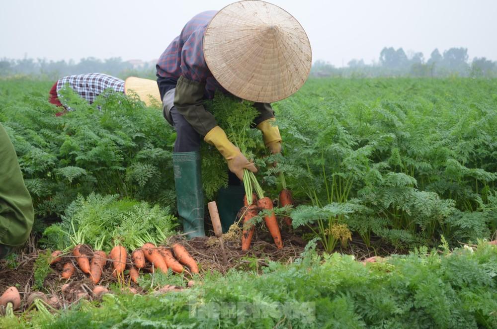 Ảnh đơn hàng