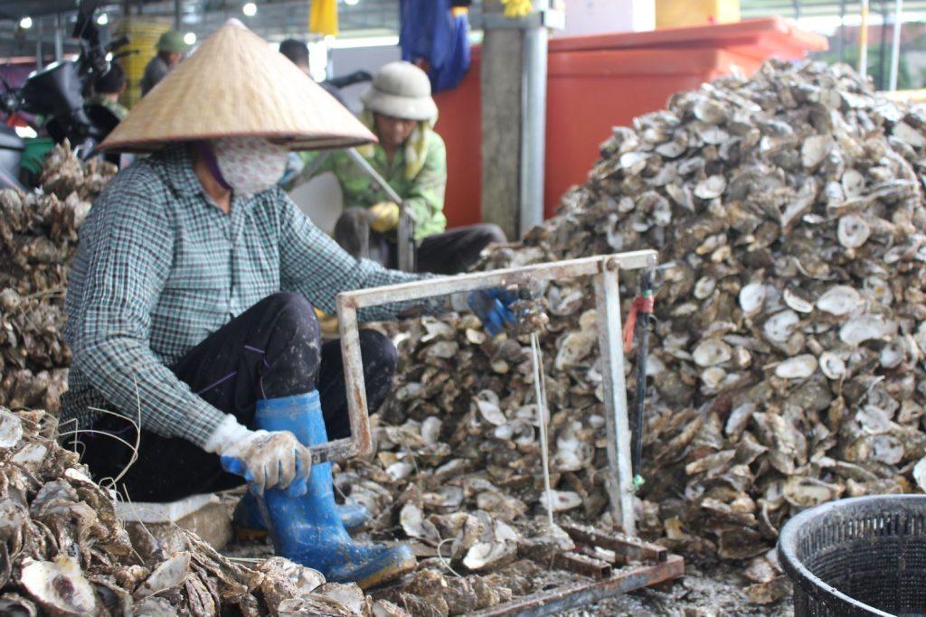 Ảnh đơn hàng